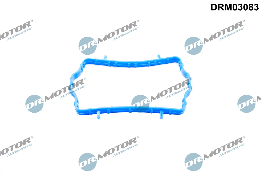Gasket, thermostat housing